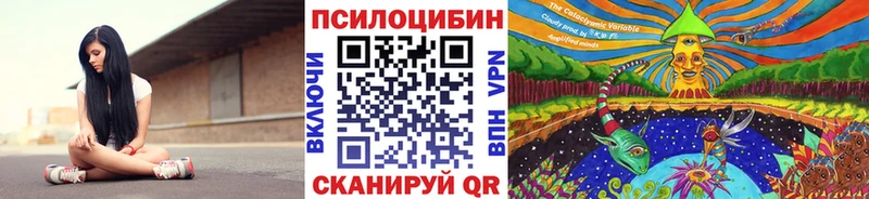 Псилоцибиновые грибы GOLDEN TEACHER  Катав-Ивановск 